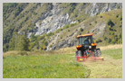 Trains de chenilles pour le travail en montagne